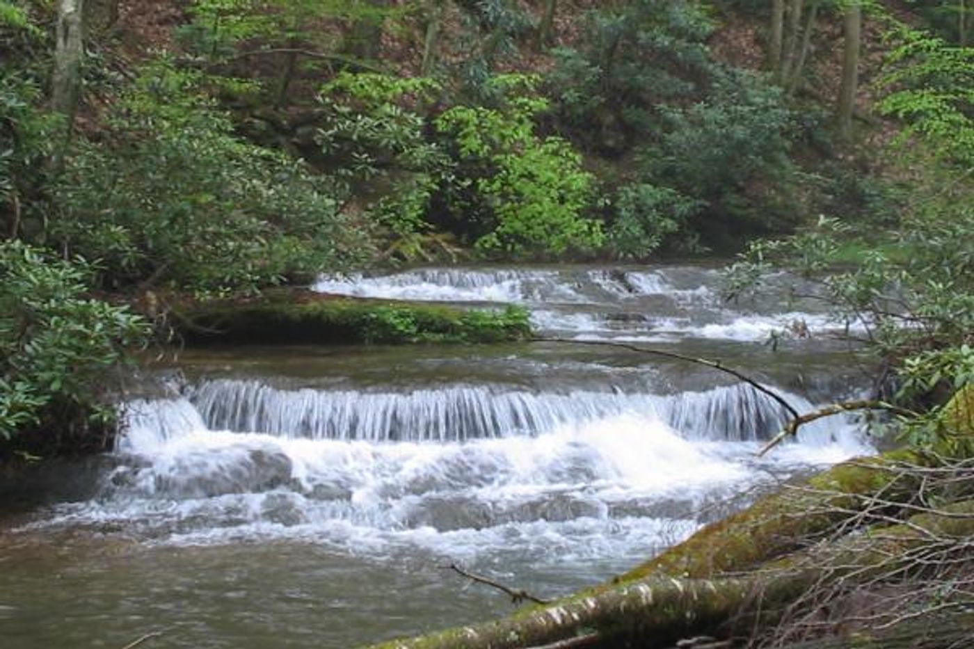 Is this river protected under the Trump administration's proposal? Photo: USDA NIFA