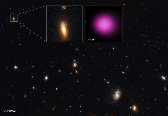 XJ1417+52 is one of the most luminous wandering black holes ever discovered.