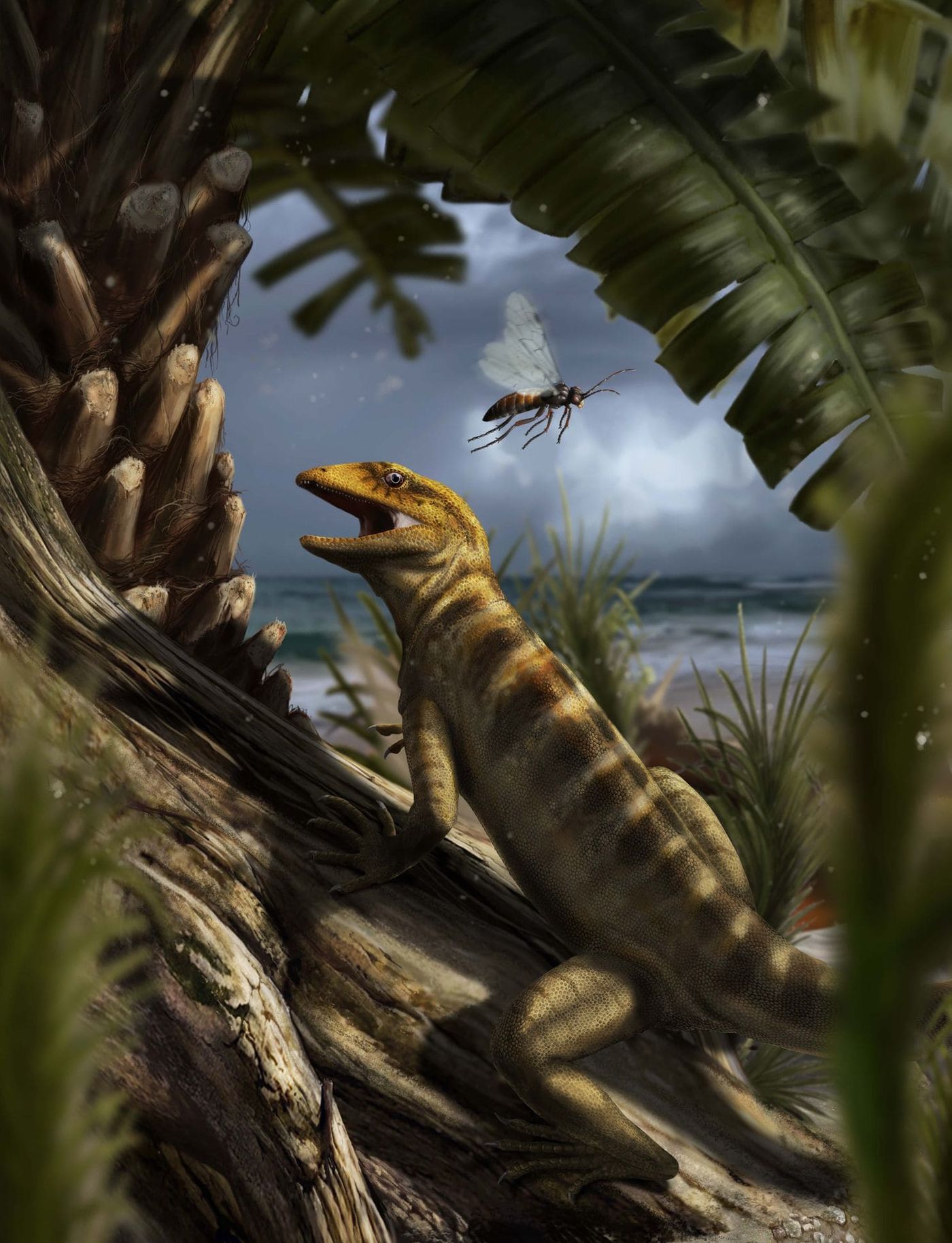 An artist's impression of Megachirella, the 240-million-year-old lizard.