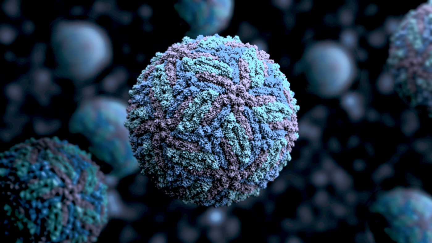 3D representation of a Zika virus. / Credit: Wikimedia Commons/Manuel Almagro Rivas