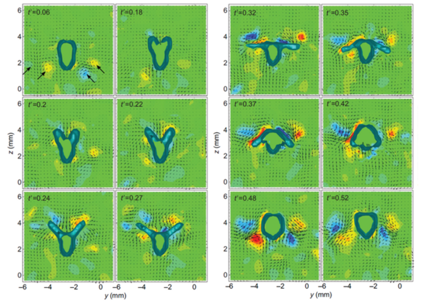 Data captured by the research team's four cameras.