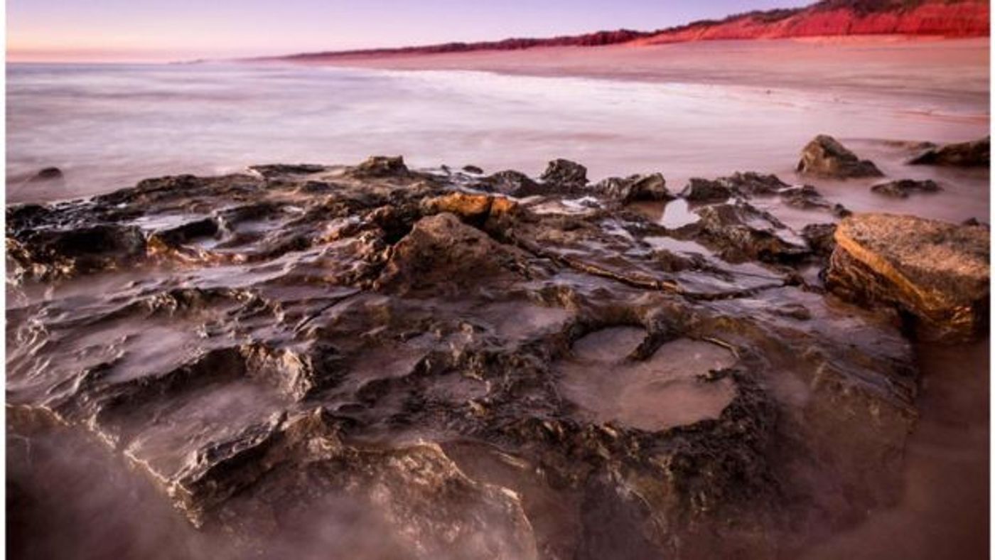The sandstone that gets revealed during certain low tide points on these Western-Australian beaches reveal large footprints from dinosaurs.