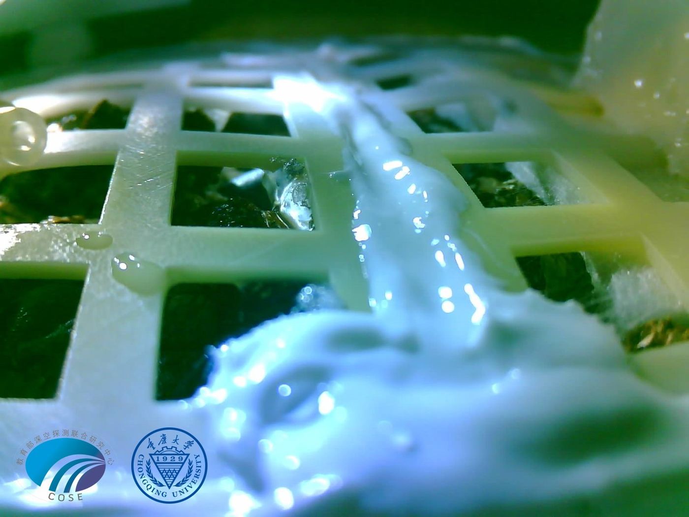 A small cotton plant begins to sprout from a seed inside of a sealed biosphere on the lunar surface.