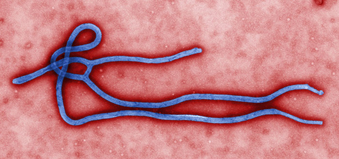 Ebola continues to look more and more dangerous each day.