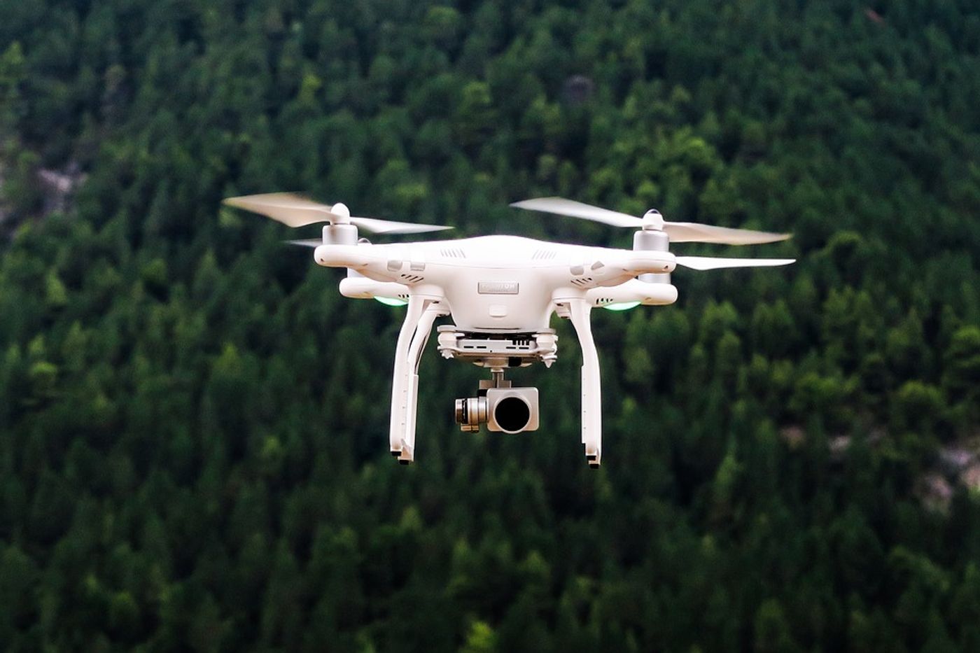 Can animals become accustomed to drones buzzing around their habitats?