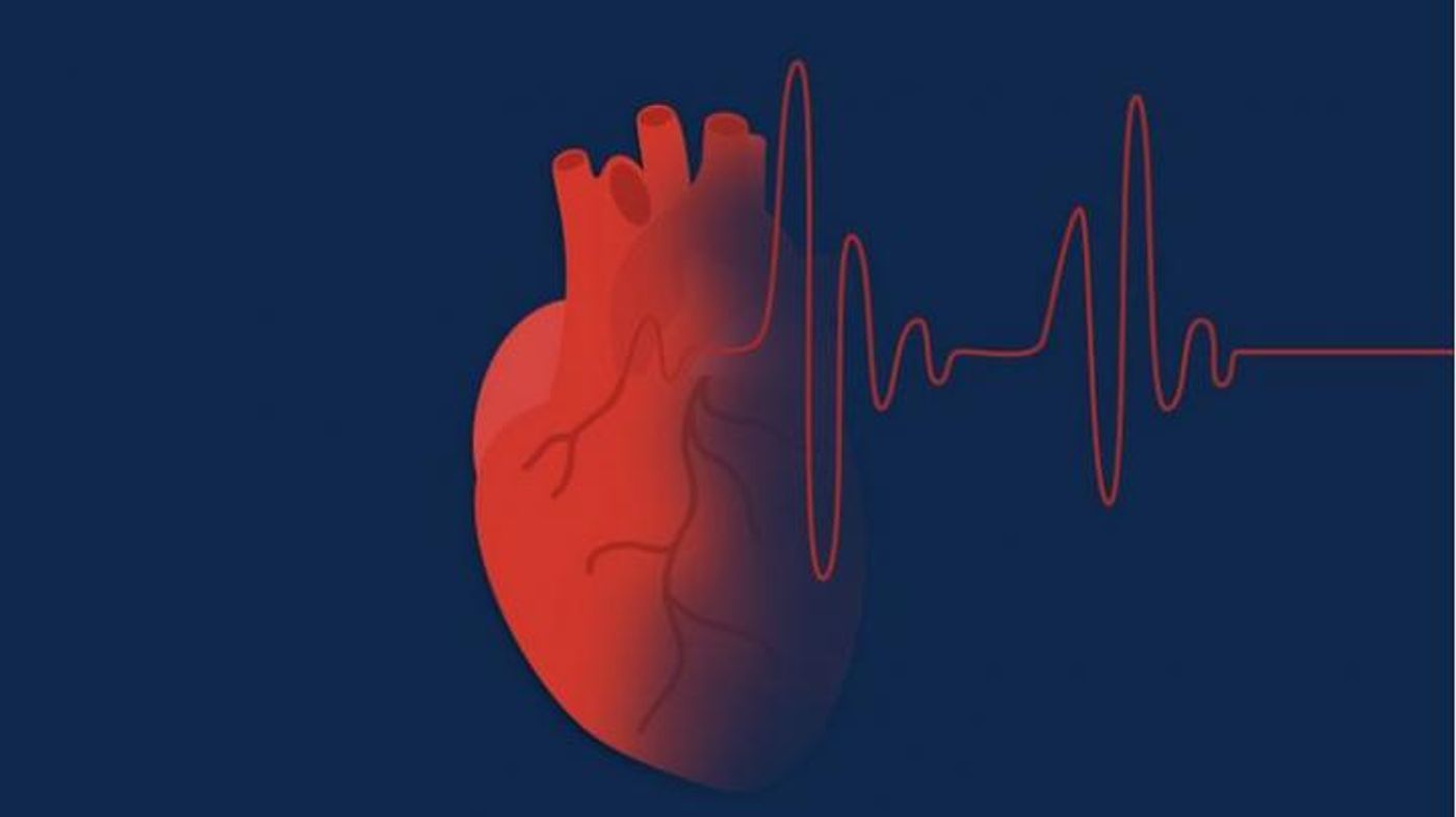 Anticoagulant therapy is important for stroke prevention in people with atrial fibrillation, but many people don't stick with it. Photo Credit: University of Michigan Health System
