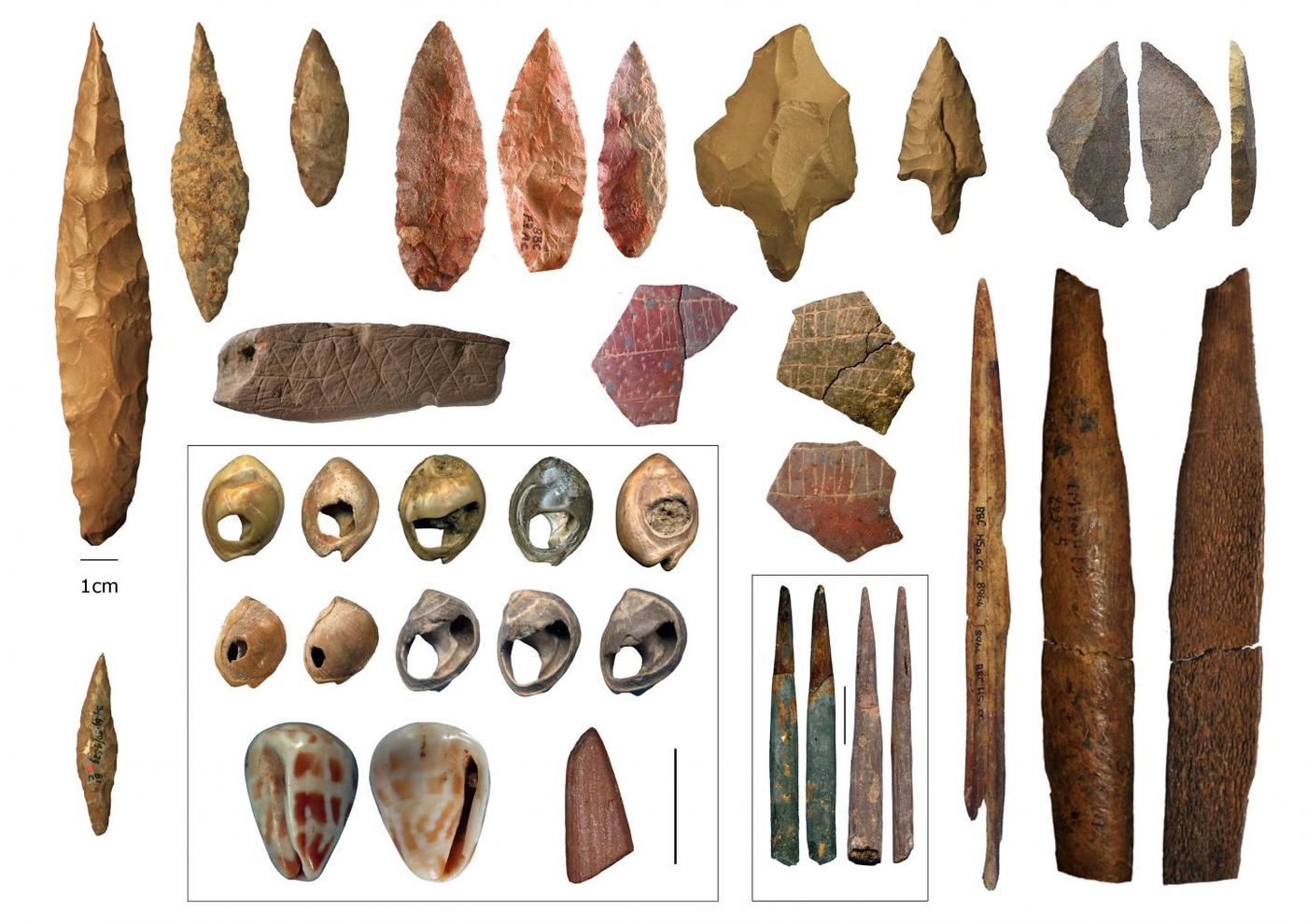 Middle Stone Age cultural artefacts from northern and southern Africa. / Credit Eleanor Scerri/Francesco d'Errico/Christopher Henshilwood