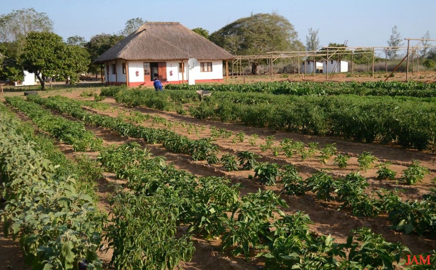 This method is well suited for small rural farms. Photo: JAM Canada