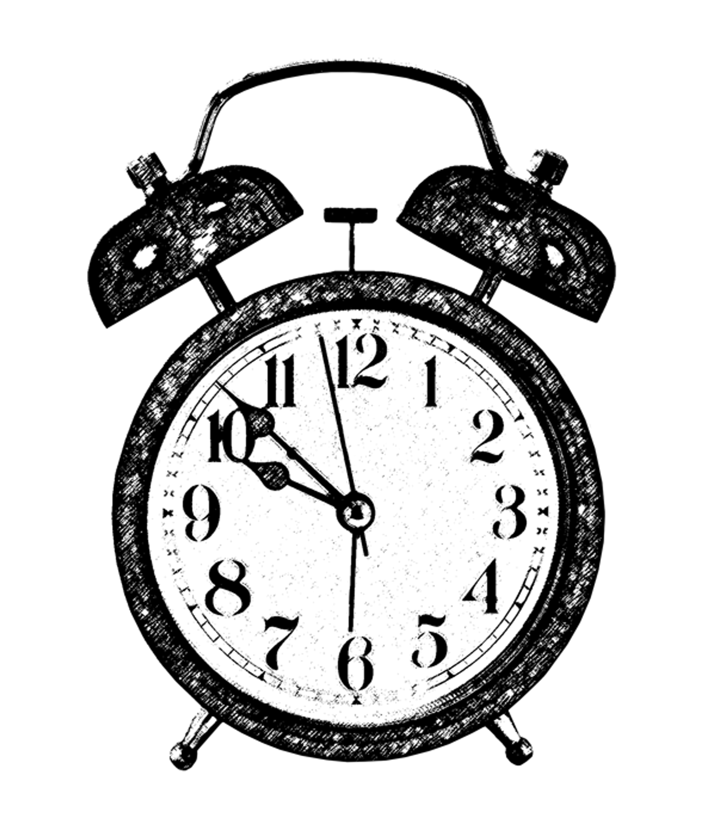 Circadian rhythms regulate the physiology of many organisms.