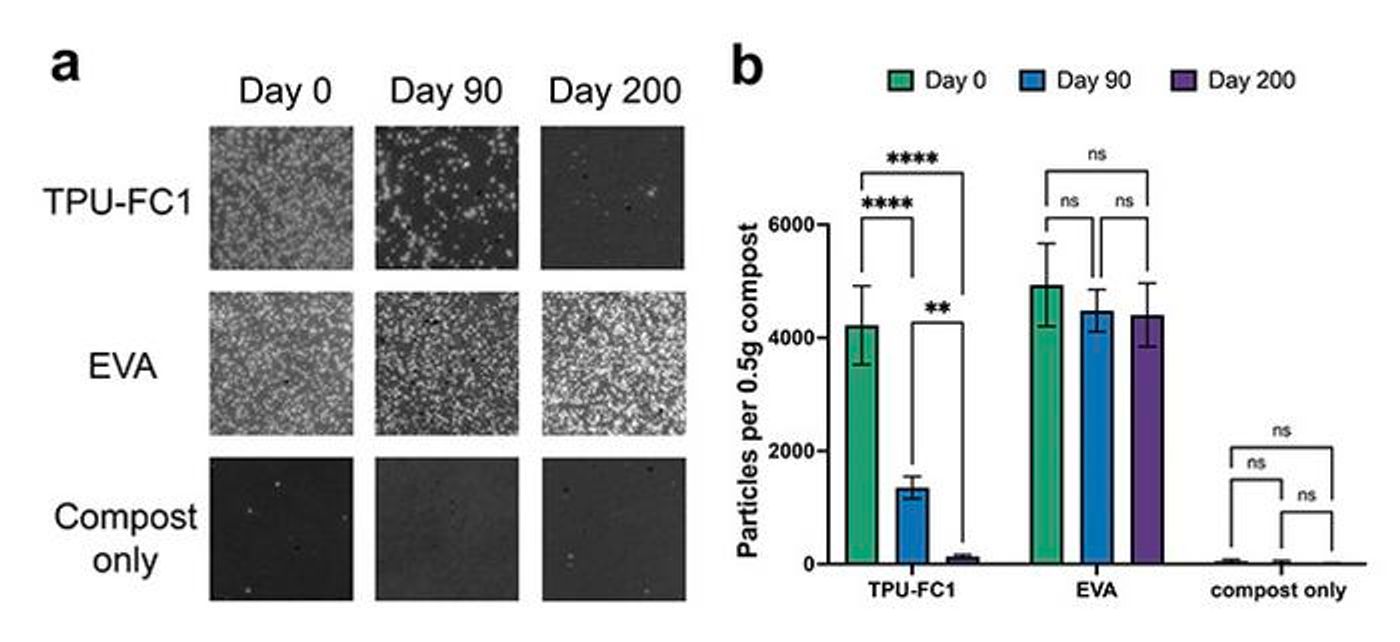 Particle counts of petroleum-based (EVA) and plant-based (TPU-FC1) microplastics show that, over time, EVAs exhibit virtually no biodegradation, while the TPUs have mostly disappeared by day 200. /  Credit  Algenesis Corporation