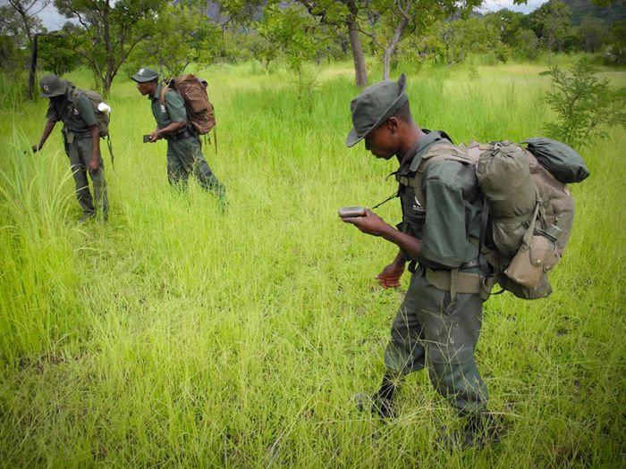Rangers use tracking devices in anti-poaching efforts