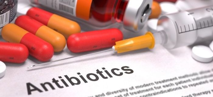 Broad-spectrum antibiotics damage the microbiome.