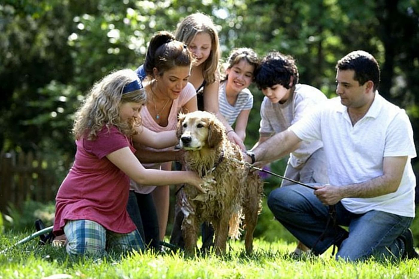 Adding a dog to the family can reduce stress for children with autism