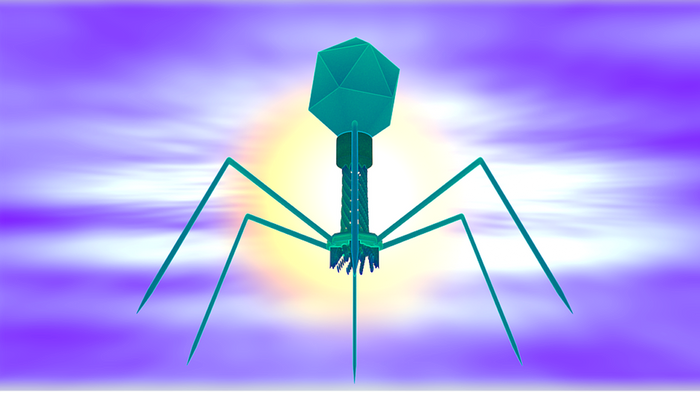 Artist rendering of a phage / Credit: Pixabay