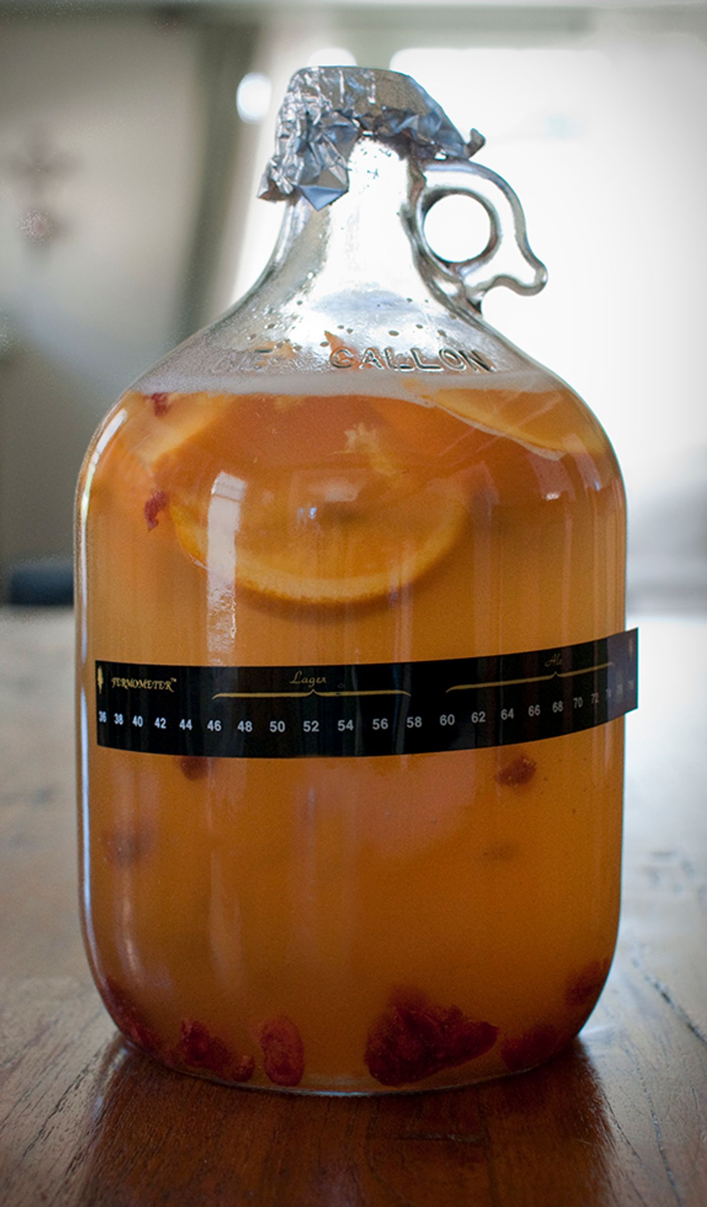 Yeasts that are used to ferment lager-style beers today are examples of highly successful, domesticated interspecies yeast hybrids. 