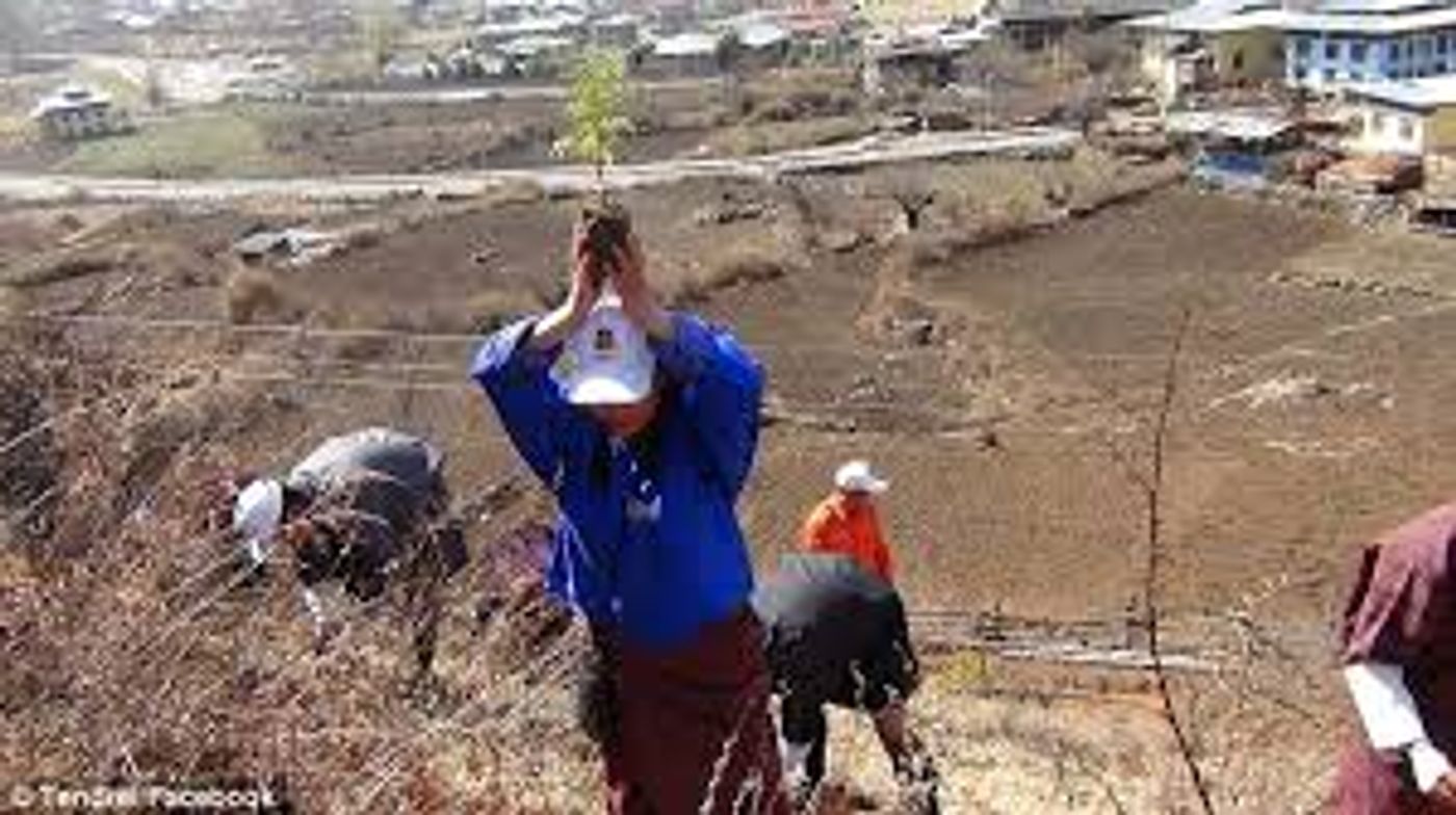 A man in Bhutan planting a tree for the celebration of the Royal Prince