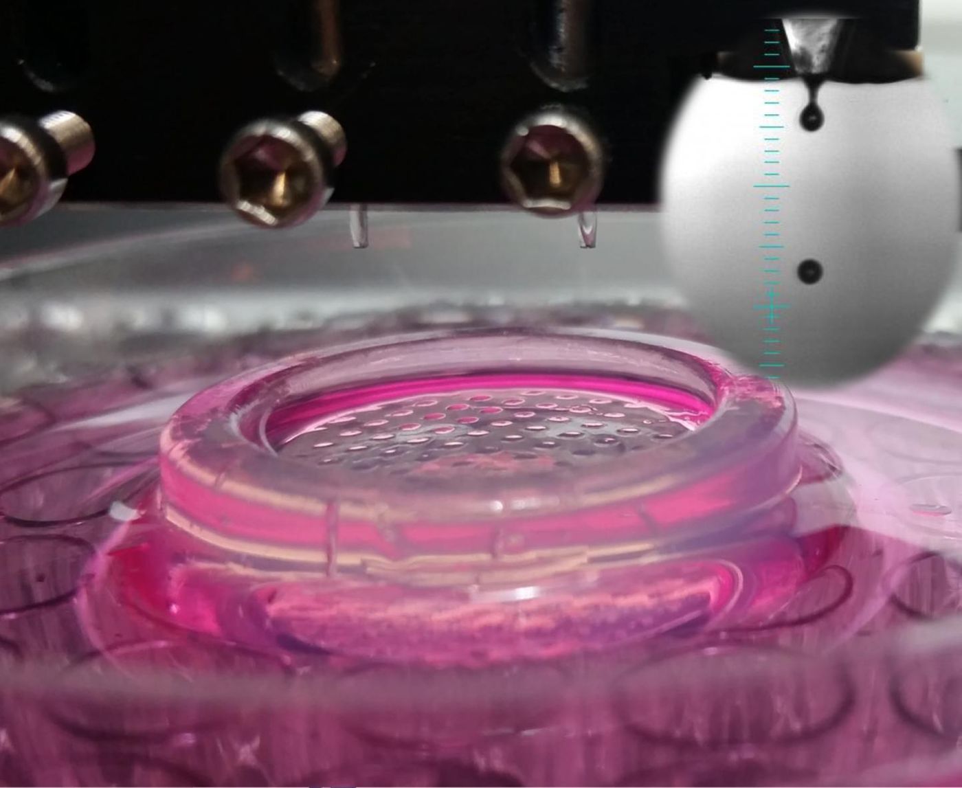 This photograph shows high throughput bioprinting of cells into microwells. / Credit: Ozbolat Lab at Penn State