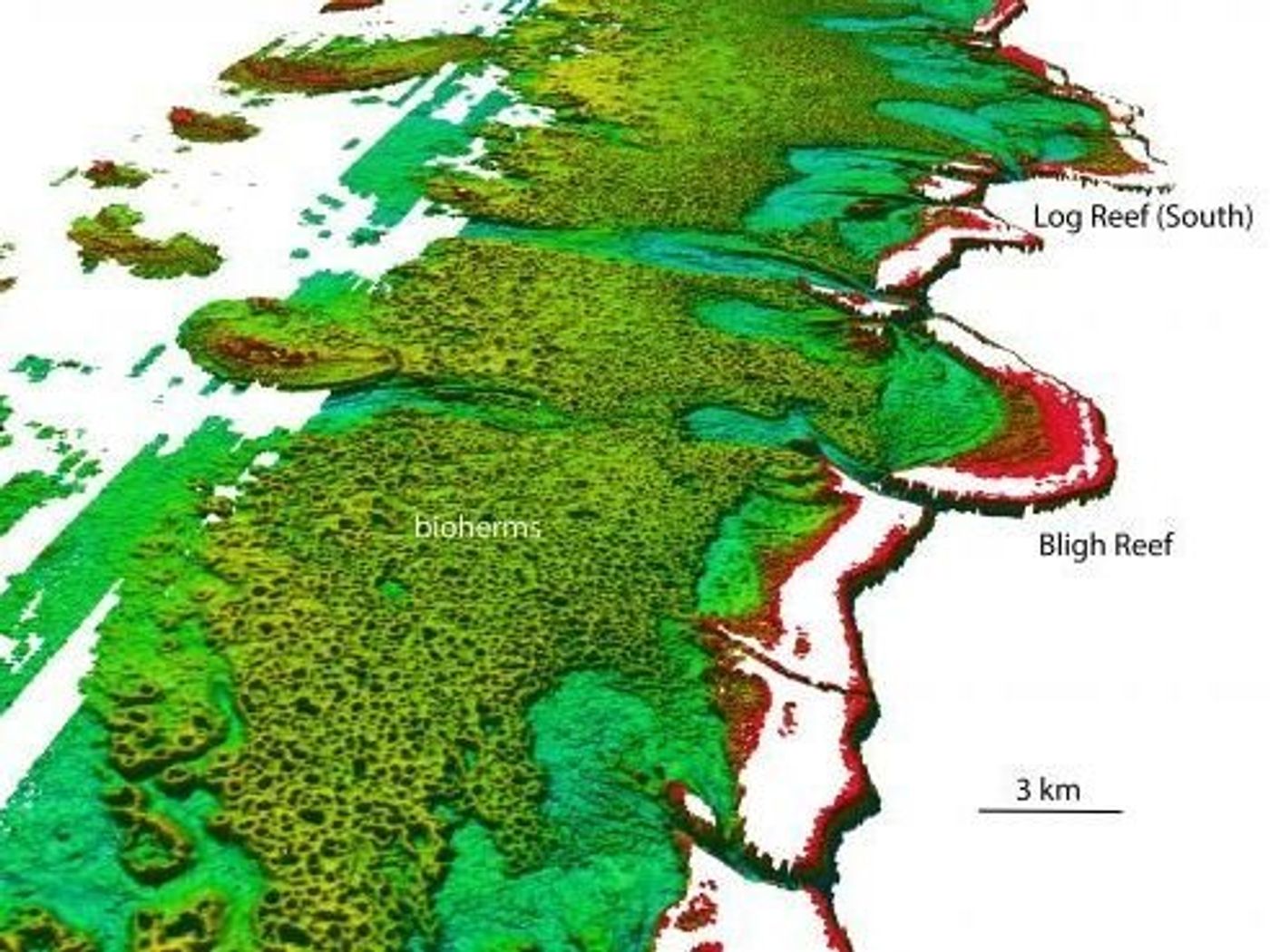 A northwesterly view of the Bligh Reef area off Cape York in northern Australia. Depths are red (shallow) to blue (deep), over a depth range of about 150 feet. The green area shows the newly discovered doughnut-shaped structures created by algae.Photo: James Cook University