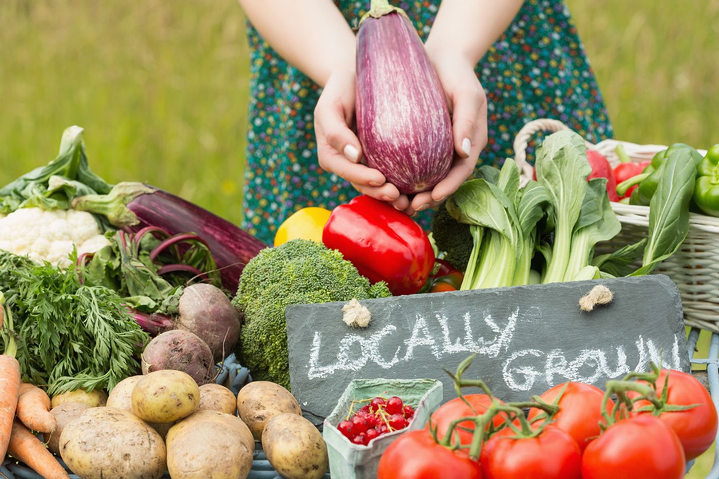 Where does your food come from? Photo: Fill Your Plate