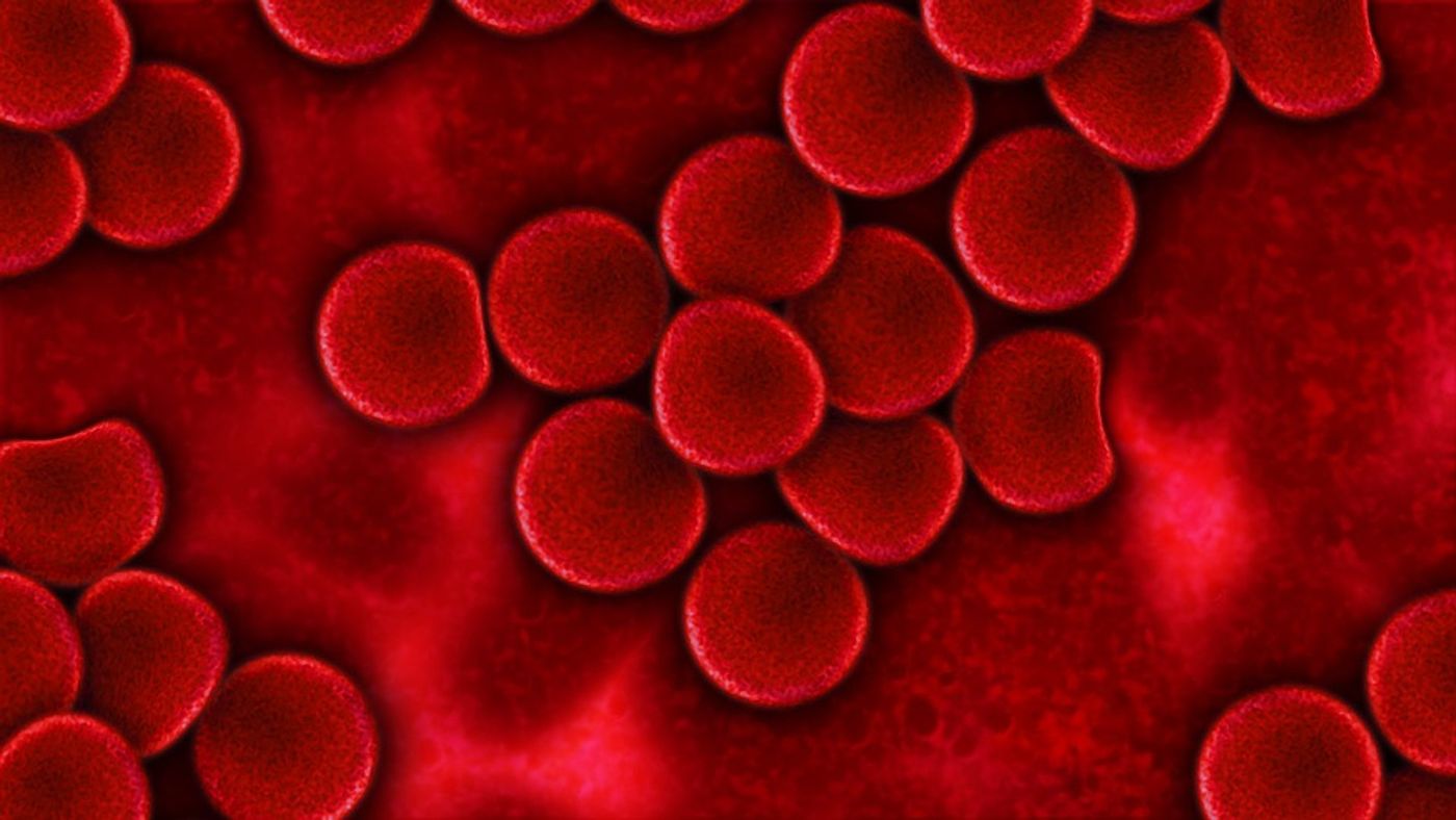 Red blood cells are the most common type of blood cell.