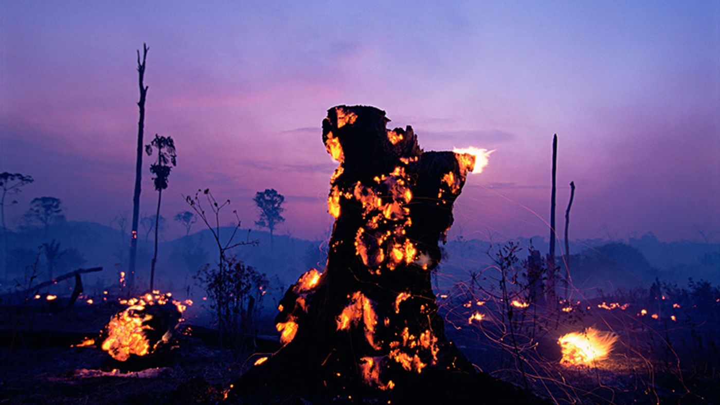 Photo: Climate Home