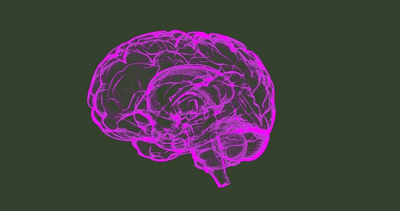 Understanding normal brain function will help us develop better treatments for diseases of the brain / Image credit: Pixabay