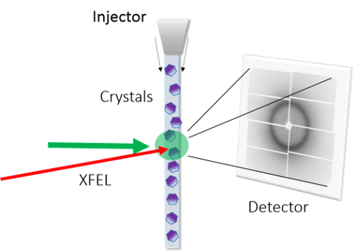 A schematic of the experimental design / Credit: RIKEN