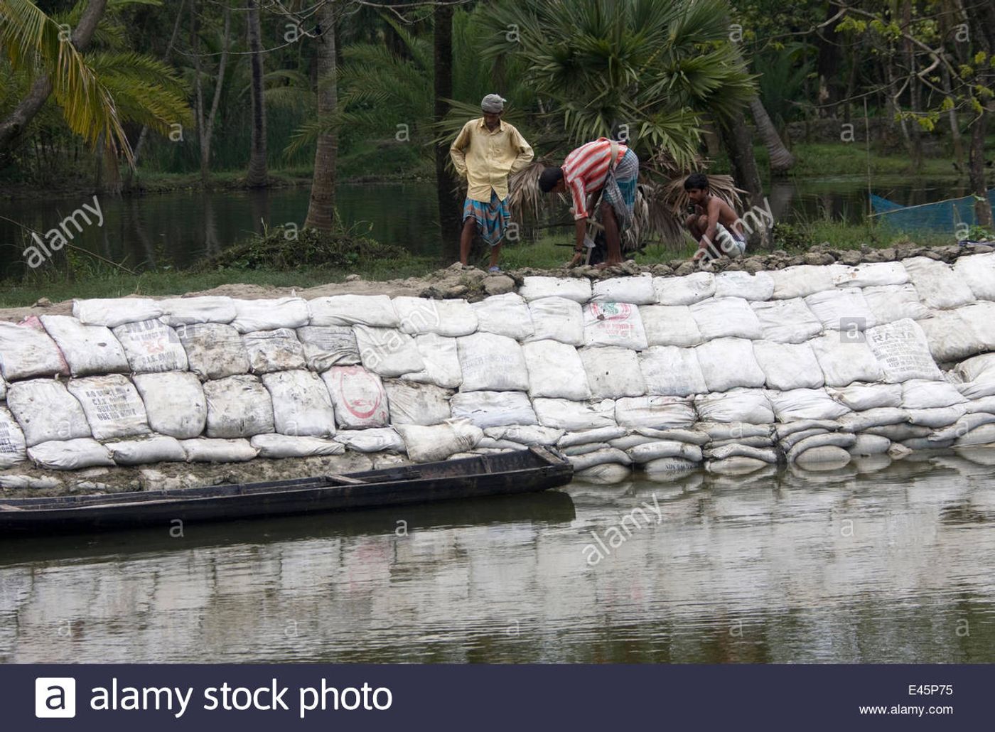 This sea wall is being constructed to protect a fishing village from flooding in Sundarbans, Bangladesh. Photo: Alamy