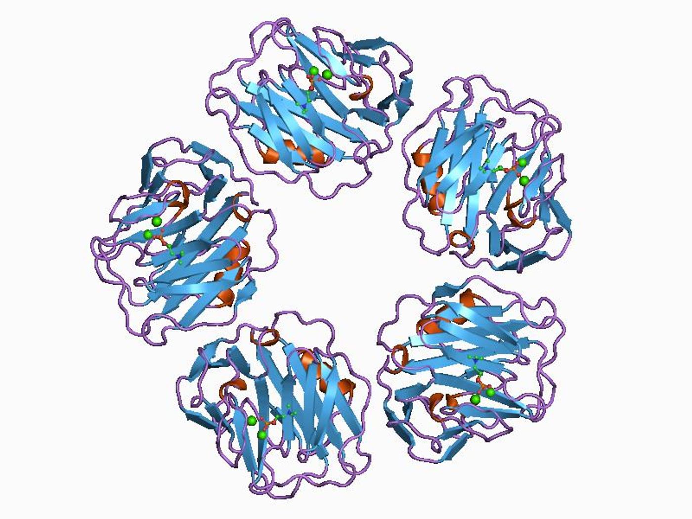 C-reactive protein