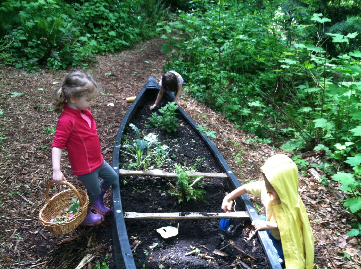 Children grow plants in a canoe at Mercer Slough Polliwogs Preschool. Photo: www.parentmap.com