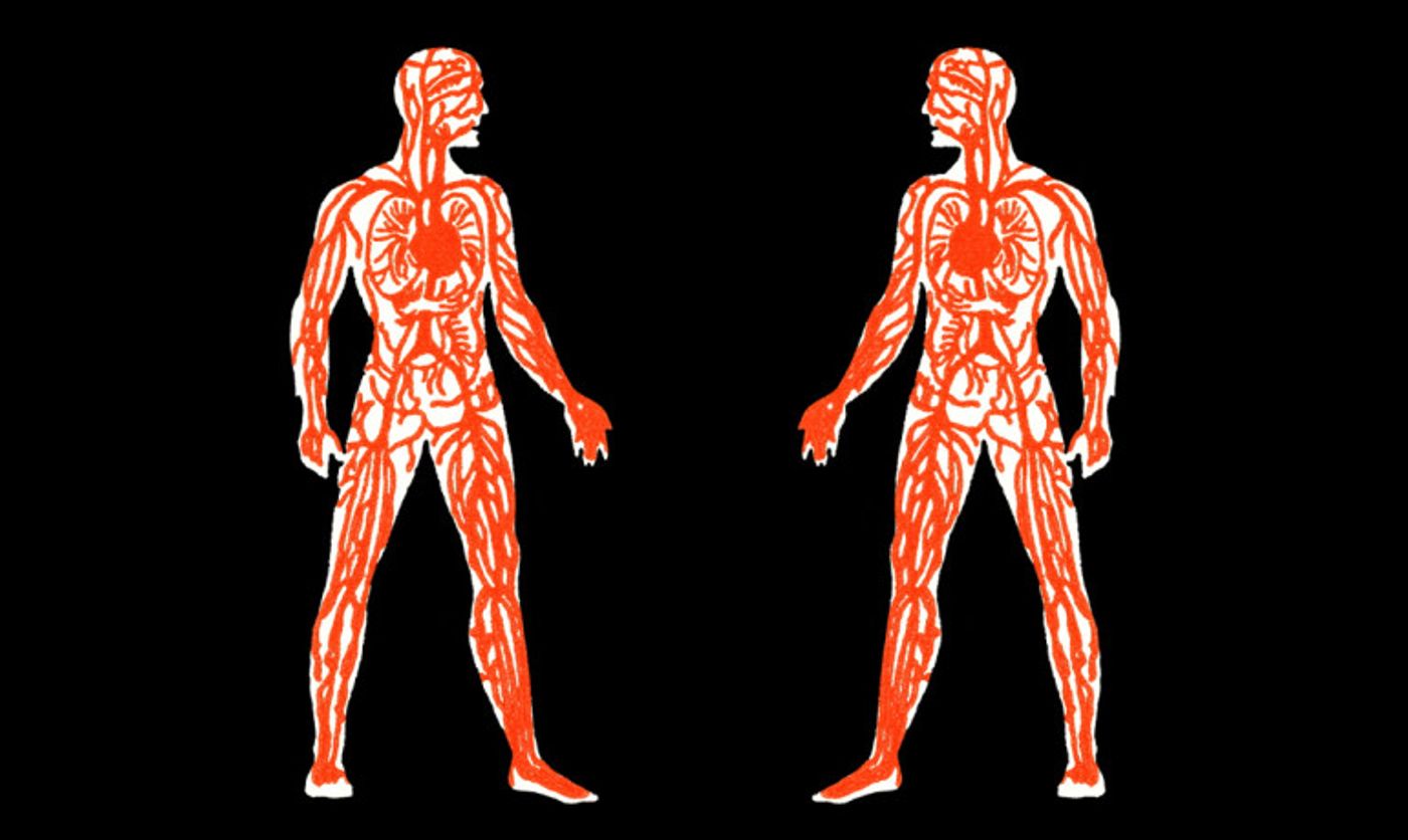 "Despite the enormous social investment in genomic studies, we have not advanced our understanding into disparities in the most common cause of morbidity and mortality between races," says Jay Kaufman.