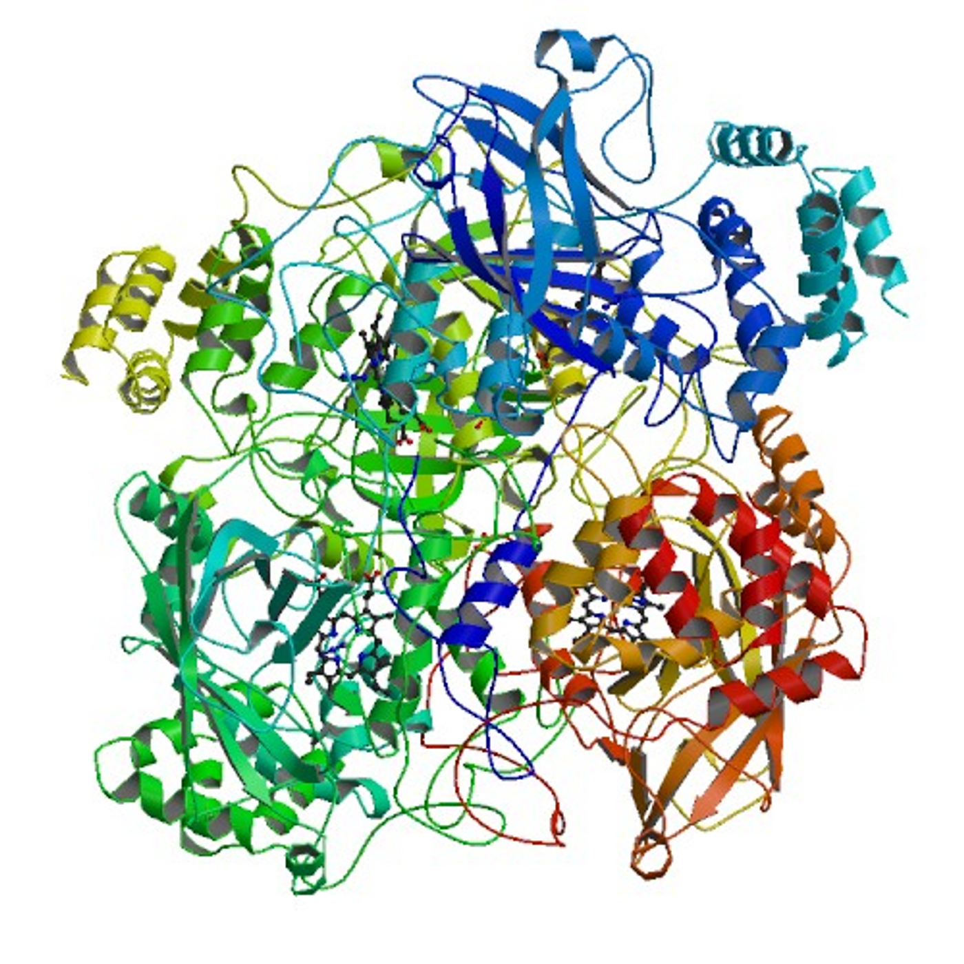 Catalases detoxify hydrogen peroxide ROS, which is produced during photorespiration and photosynthesis.