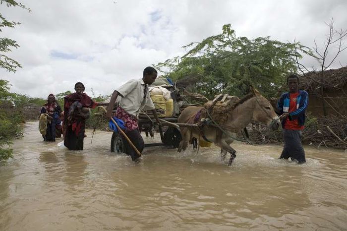 Somali refugees flee flooding in Dadaab, Kenya. Photo: UNHCR