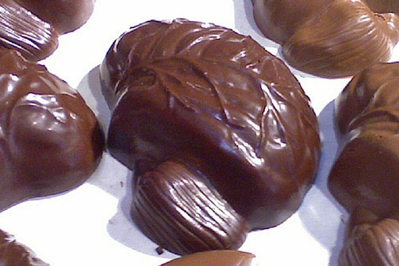 Chocolate lovers show better cognition