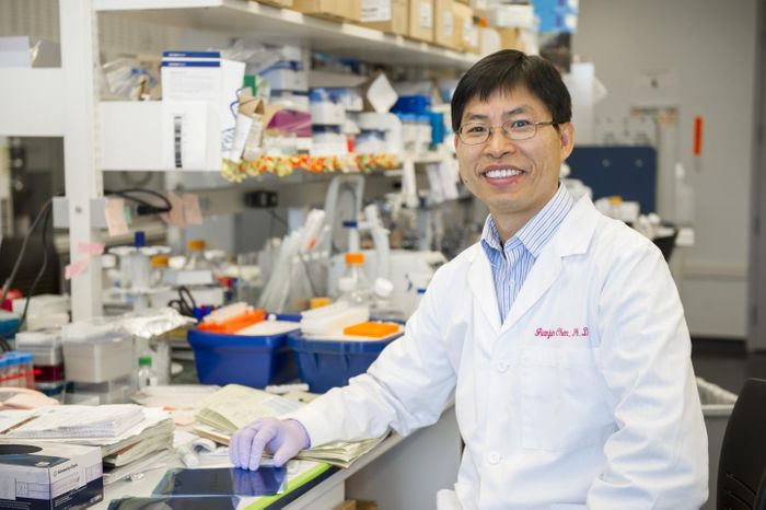  Jianjun Chen, Ph.D., Associate Professor in the Department of Cancer Biology at the UC College of Medicine. / Credit: University of Cincinnati