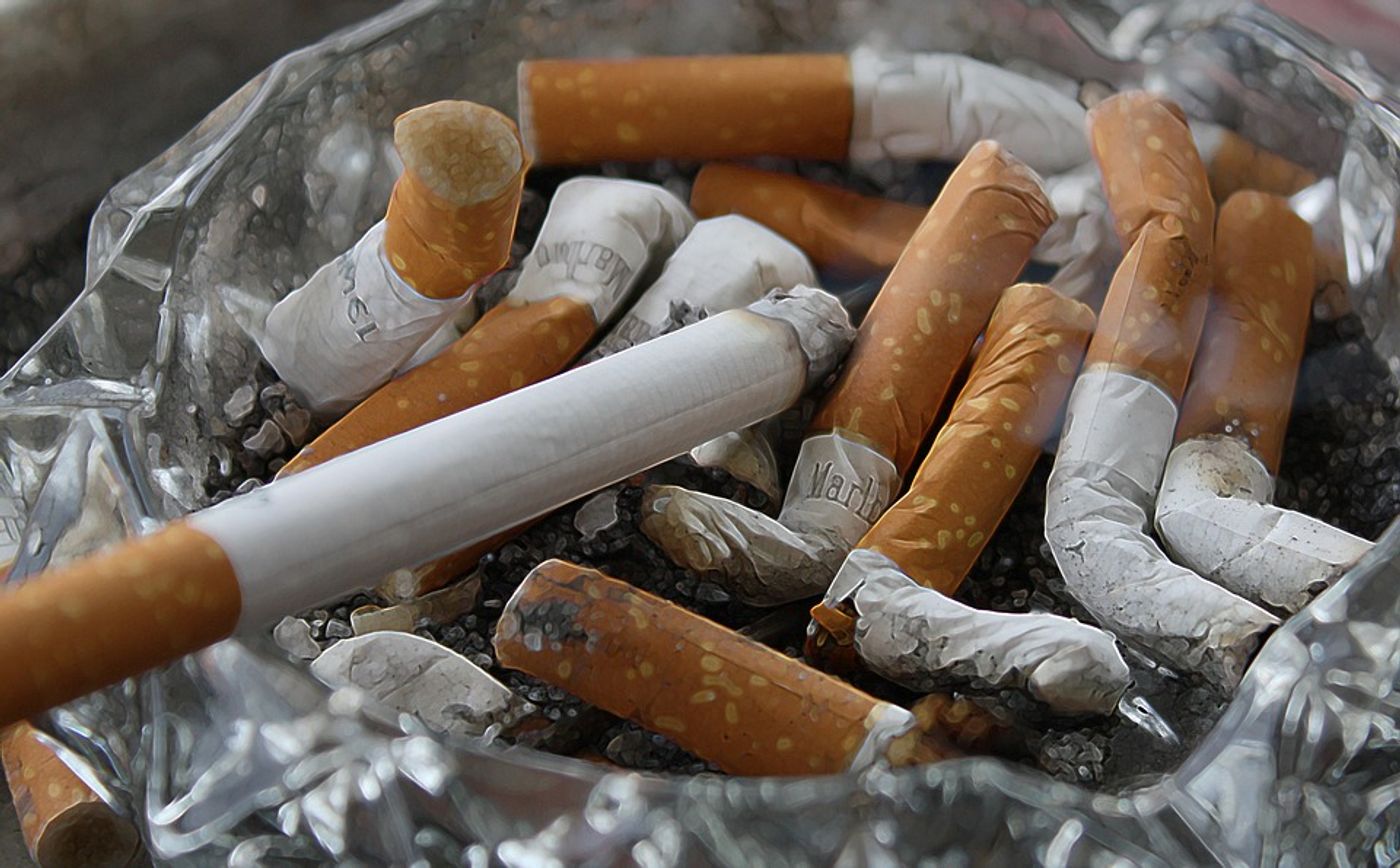 The CDC estimates that 36.5 million adults in the United States smoke cigarettes.