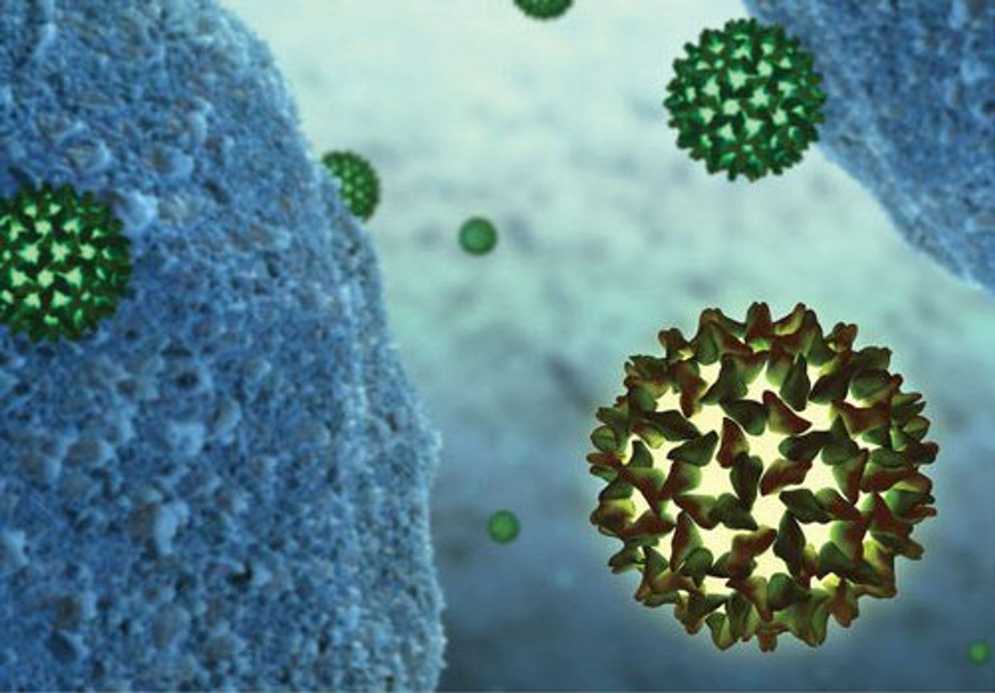 Computer-generated image of HBV
