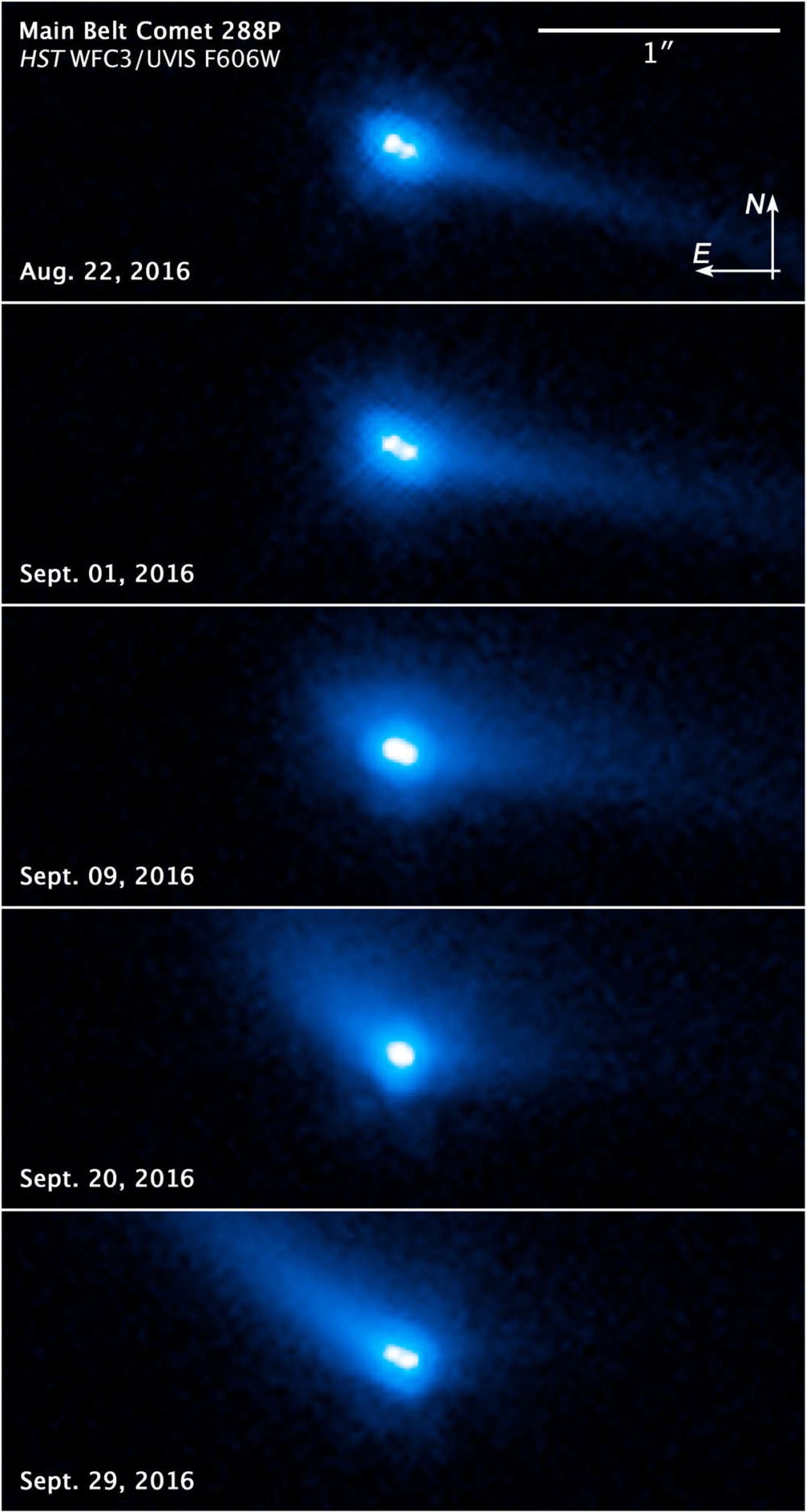 Actual images of 288P, captured with the Hubble Space Telescope.