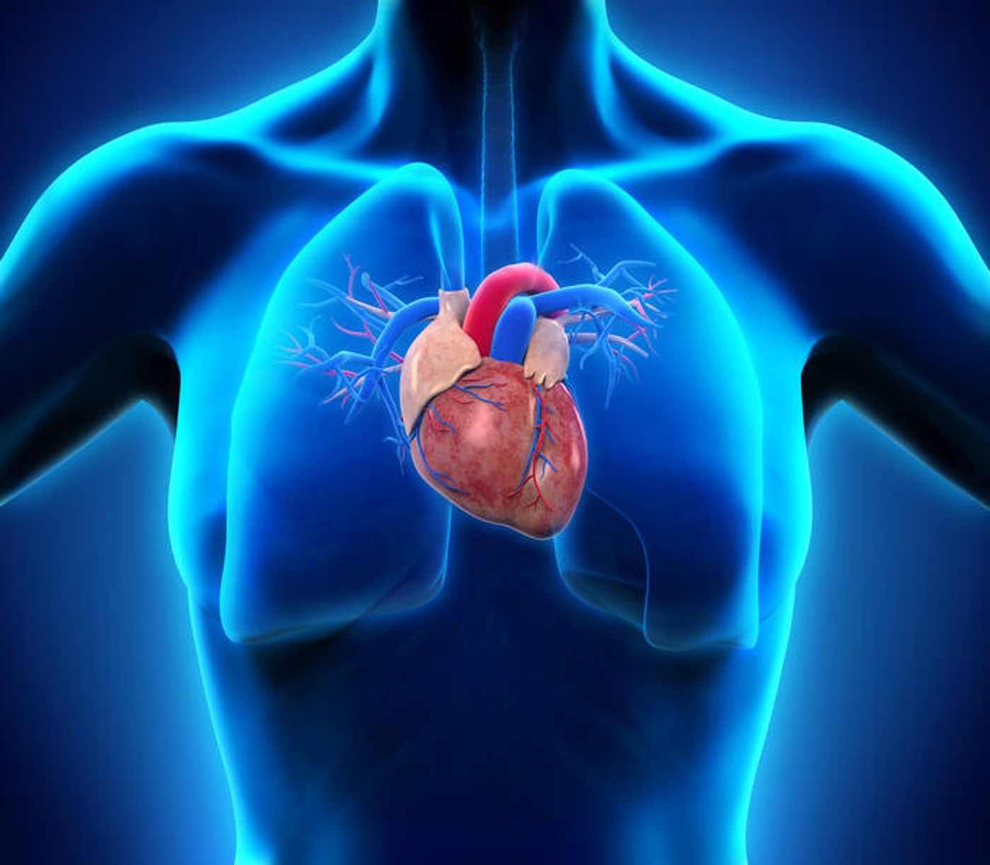 Many people think of heart attacks as a disease that primarily affects men. Women, however, are more likely to die during the first year after a heart attack. Source: TUM