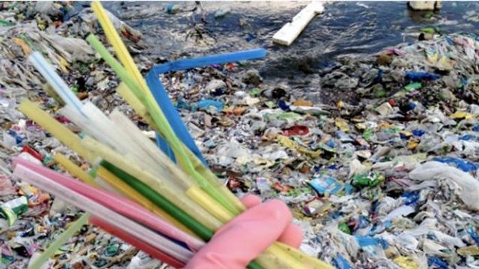 Did you know that the US alone uses enough plastic straws to wrap around the Earth's circumference 2.5 times a day?!! Photo: The Hill