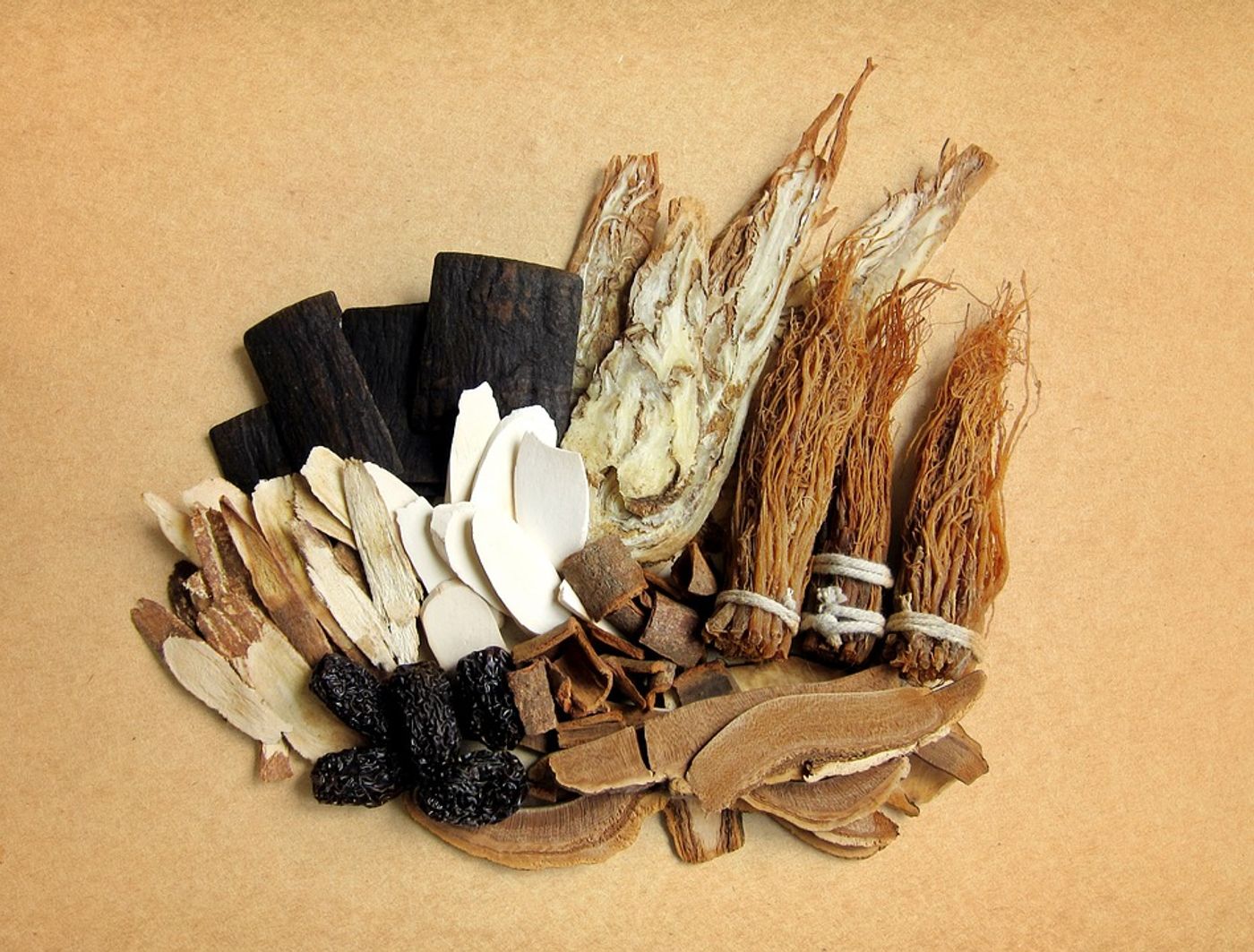 Two Chinese herbs kill cancer cells, but why are we surprised? | Image: pixabay.com