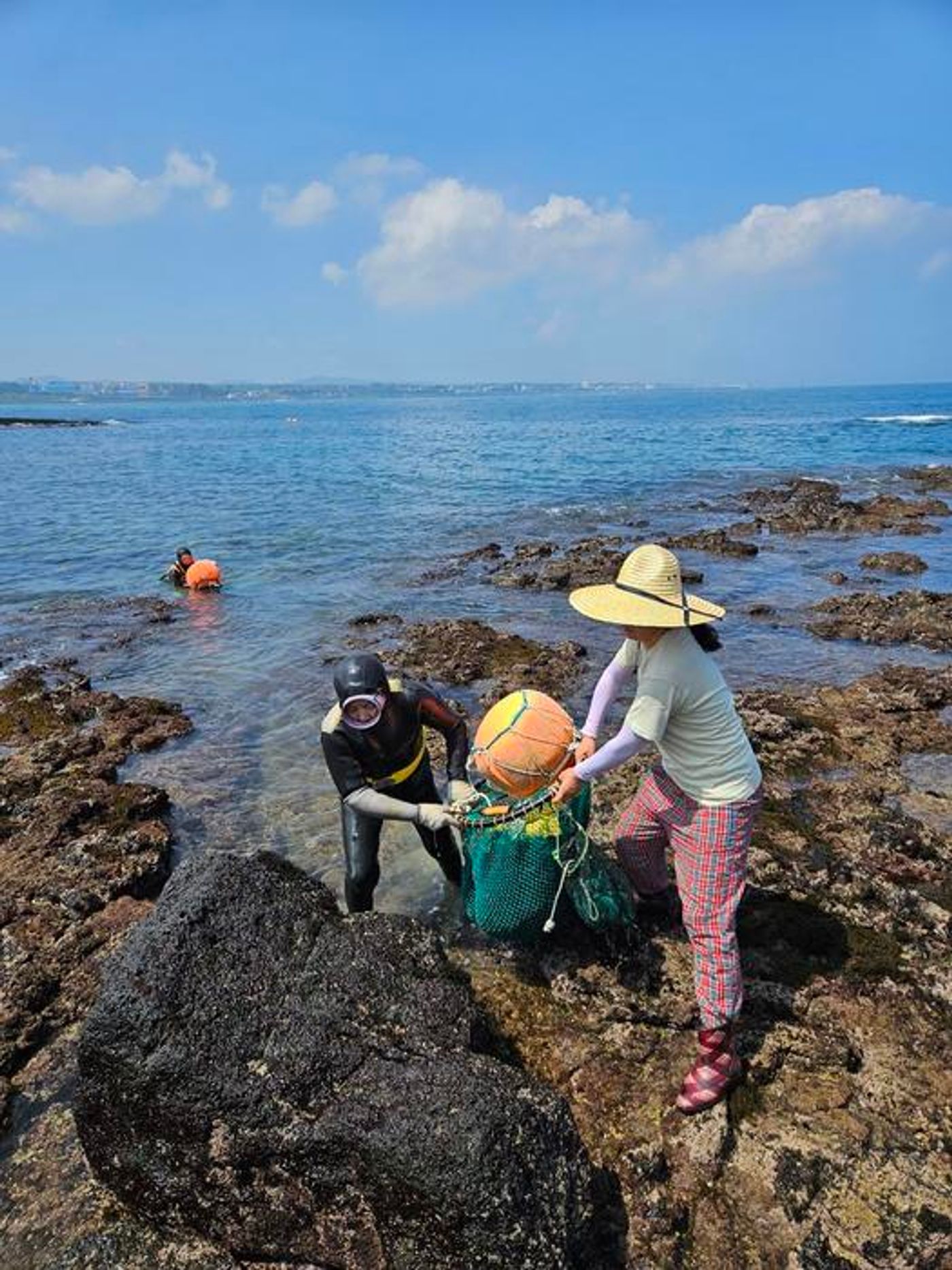 Divers haul the day's catch out onto shore.  Credit  Melissa Ilardo