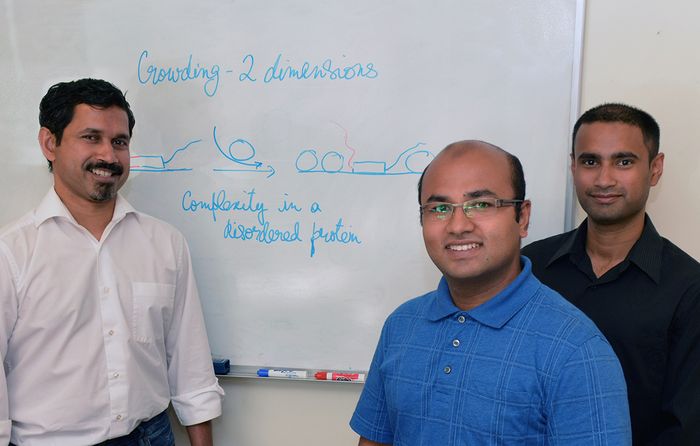 The Scripps Research Institute's Ashok Deniz, Mahdi Muhammad Moosa and Priya Banerjee (left to right) were authors of the new study, which was designated as a "hot paper" by Angewandte Chemie.