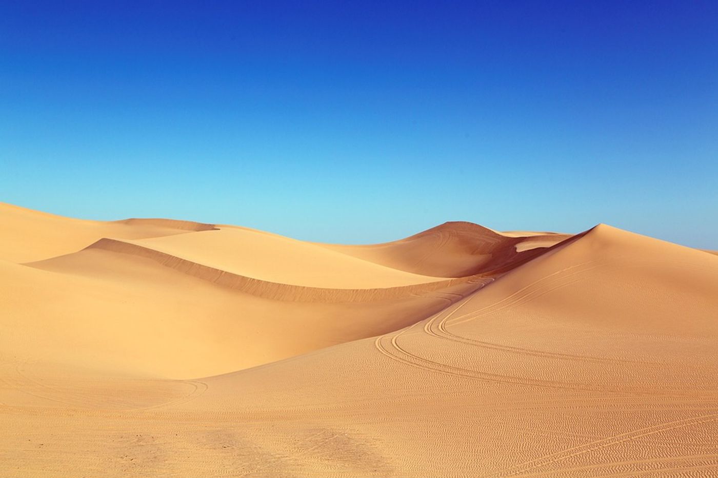 What did the Sahara used to look like? Photo: Pixabay