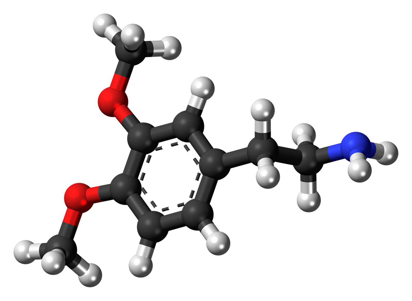 Resolution of the D4 Dopamine Receptor for Drug Discovery | Drug ...