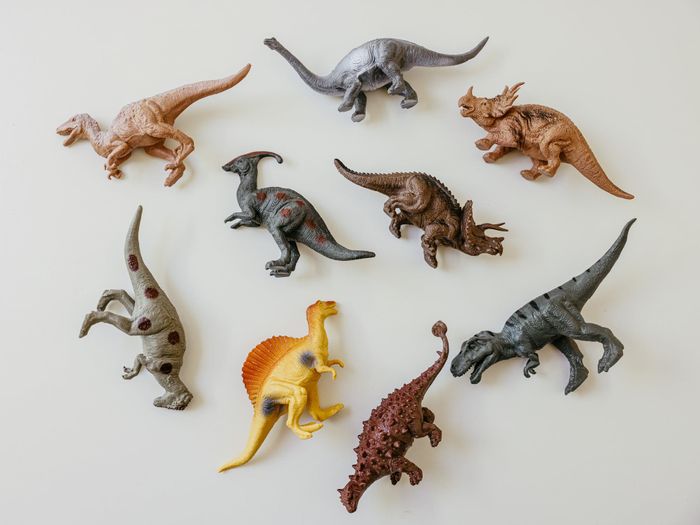 Confirmation Bias or Captivating Discovery? Paleontology at the Tanis Site, North Dakota Earth