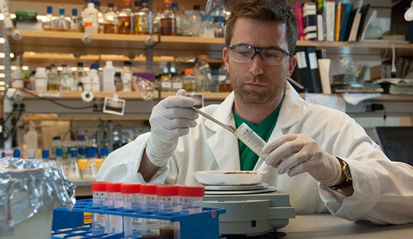 Postdoc Zachary Charlop-Powers examines DNA from soil samples that might encode microbial molecules with interesting properties. / Credit: Zach Veilleux/The Rockefeller University