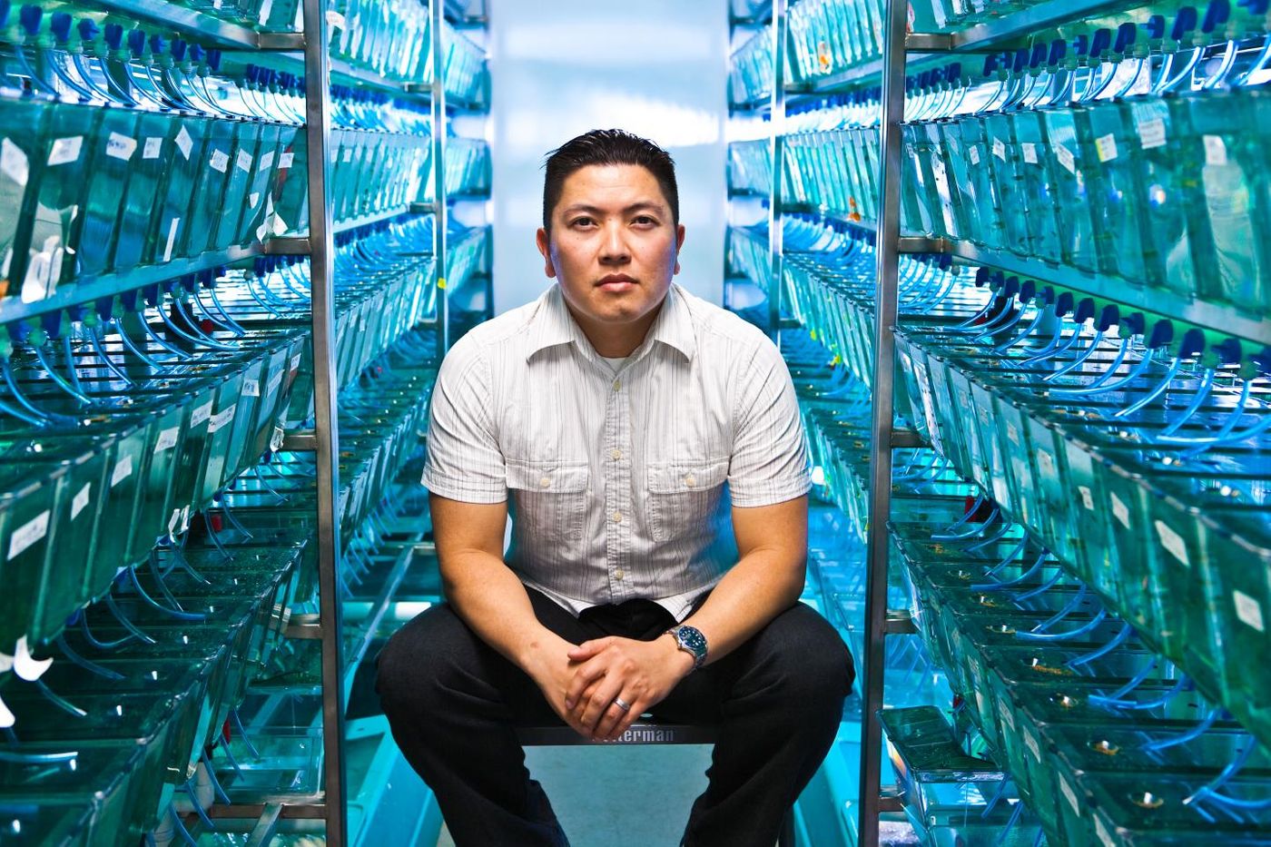 This is Duc Dong, Ph.D., assistant professor in the Human Genetics Program, among zebrafish tanks. / Credit: SBP