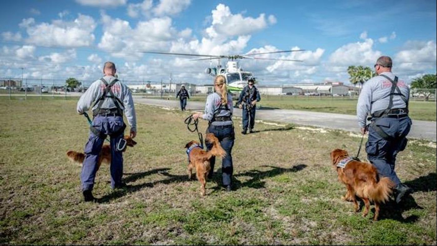 Search and rescue dogs experience stress when flying, but quickly overcome it to do their job. / Credit: Erin Perry