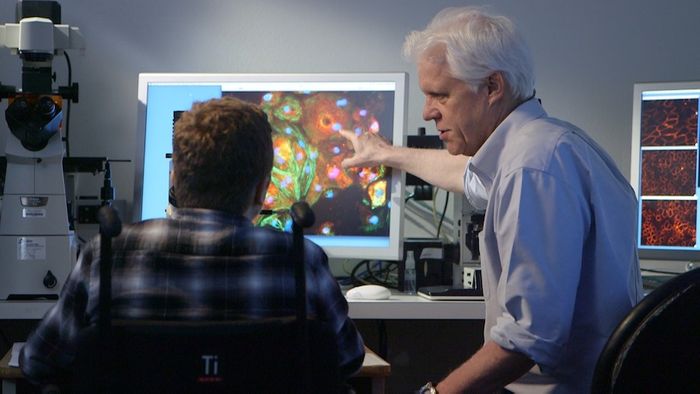 Dr. Eric Olson shows DMD patient Ben Dupree the dystrophin protein (red) produced in gene-edited heart muscle cells taken from Mr. Dupree's blood. Credit: UT Southwestern Medical Center